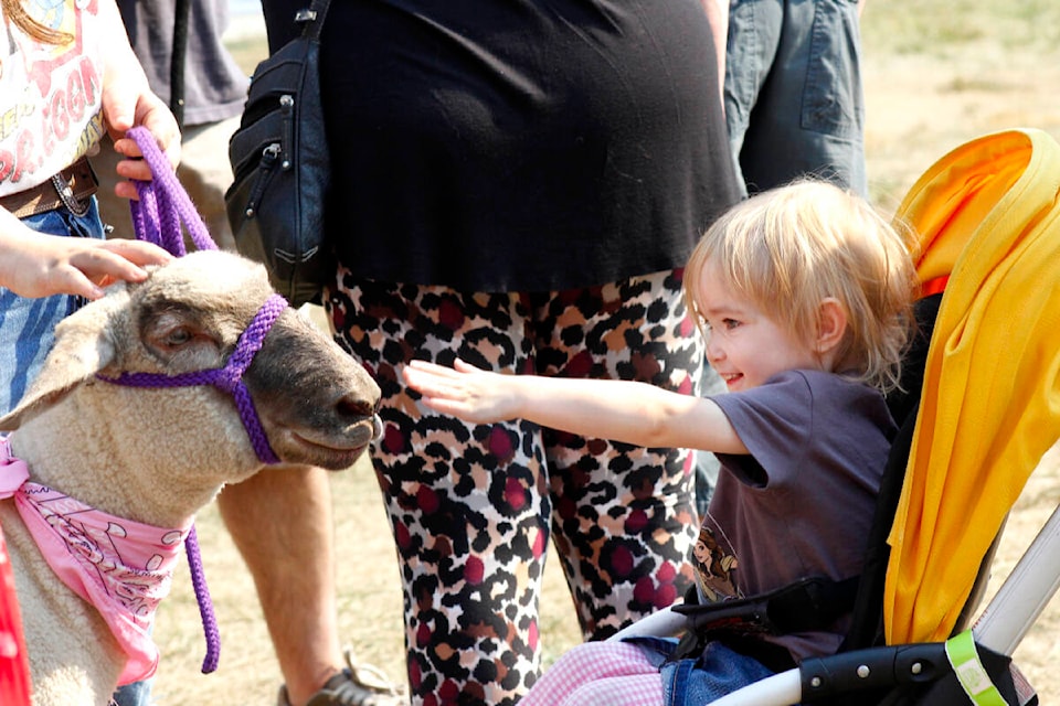 Hundreds of people came through Memorial Peace Park on Sept. 16 to enjoy the entertainment put on as part of the annual GETIFest celebration. (Brandon Tucker/The News) 