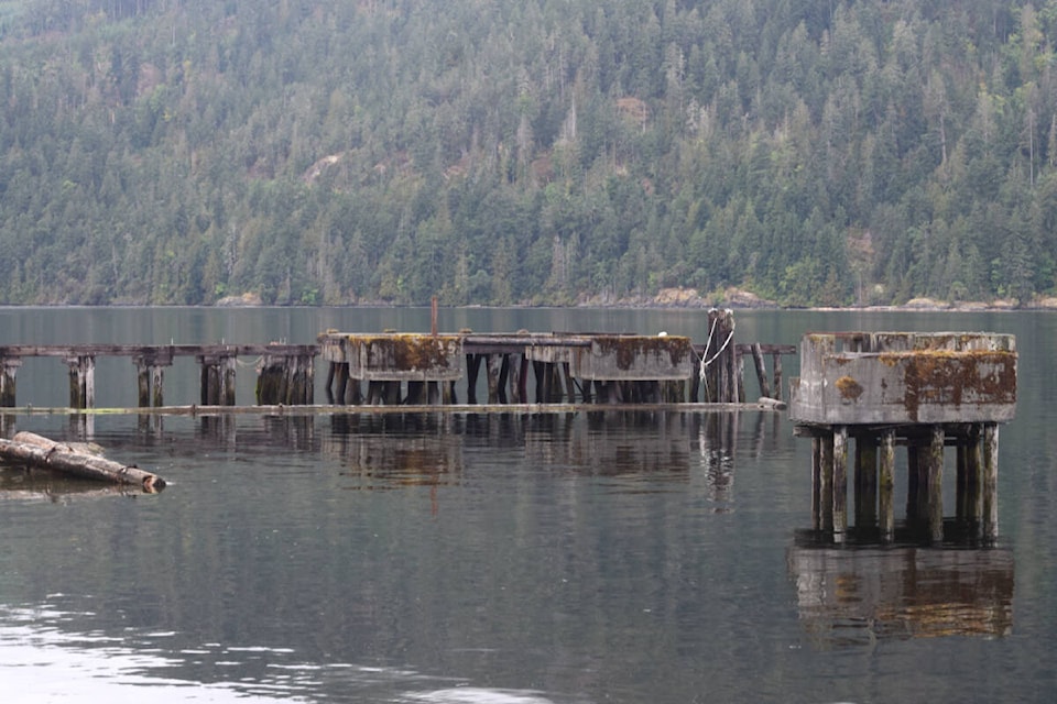 A Port Alberni city councillor wants to see the old pilings at Canal Waterfront Park transformed into a pier. (ELENA RARDON / ALberni Valley News) 