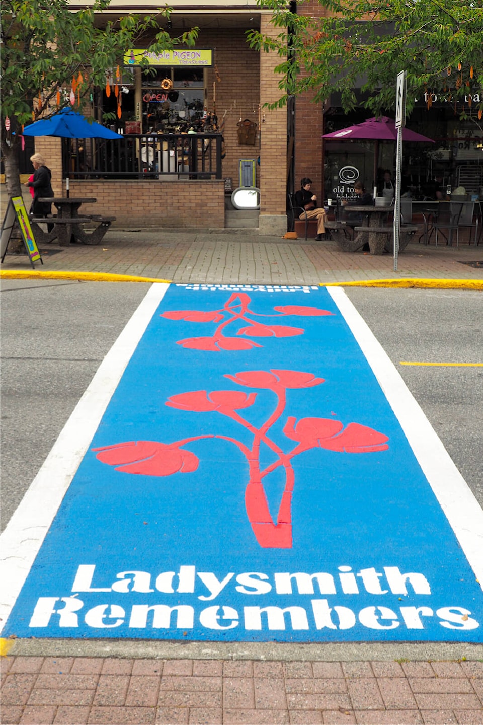 web1_230920-nbu-ladysmith-crosswalks-2_1