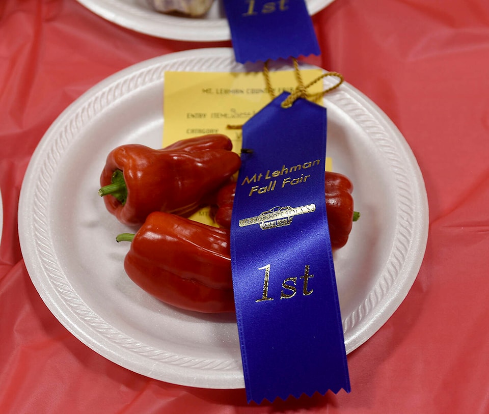 web1_230921-abb-photos-mtlehmanfallfair-morrow_9