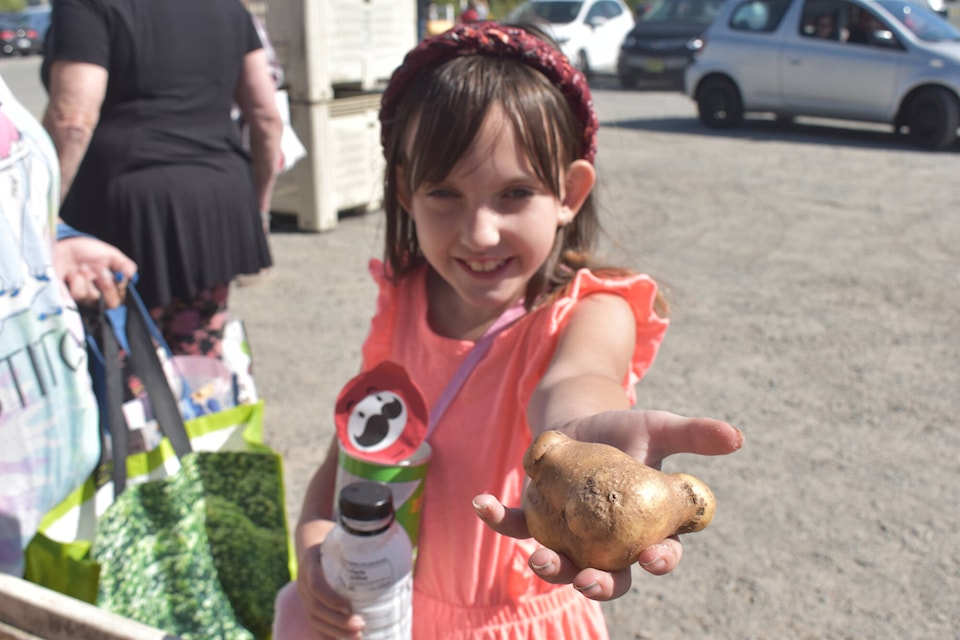Rayne McConnell, 7, holds up one of the potatoes the Heppell family were giving away for free at their South Surrey farm on Sunday (Sept. 17), during their Ugly Potato Day event, which was held from about 11:30 a.m. (it started a half-hour early) until 3 p.m. (Tricia Weel photo) 