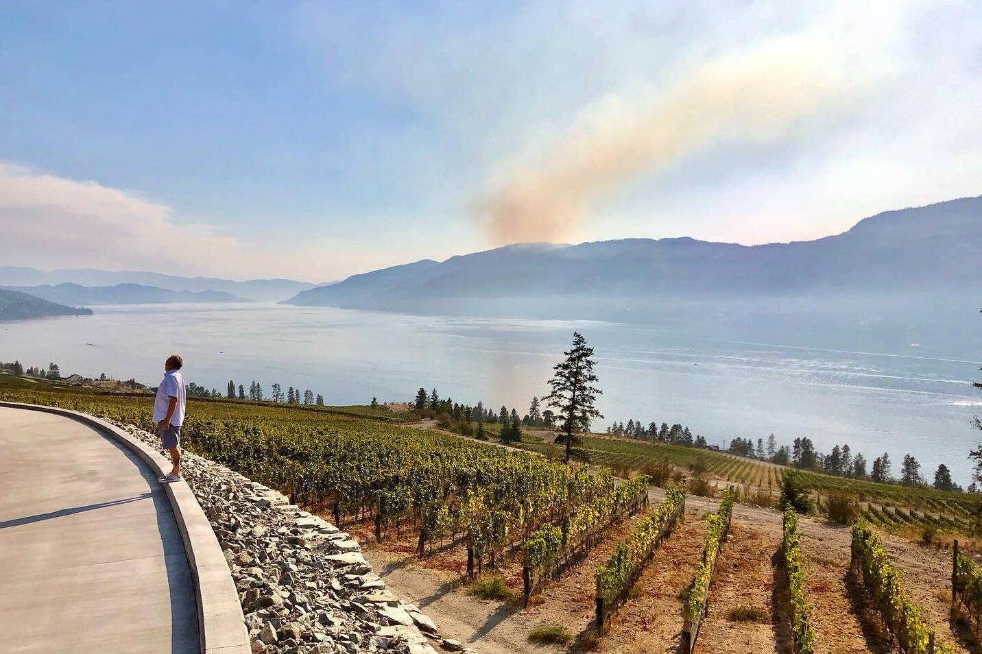 Wildfire smoke impacts North Okanagan air quality Vernon Morning Star
