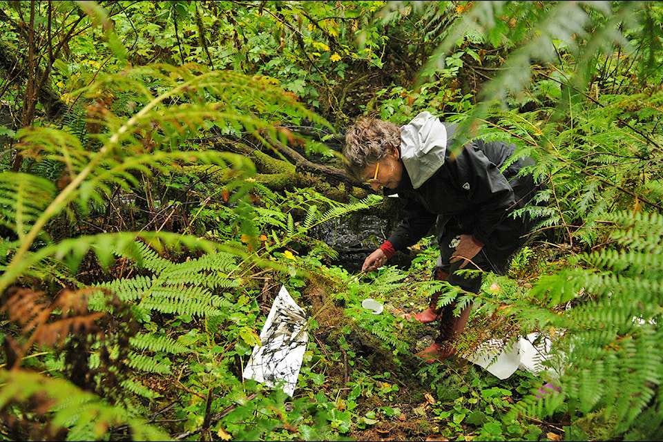 Cat Sivertsen with Choreography of Trust, an international collective of women artists, uses a stick to draw outside at Cultus Lake on Tuesday, Sept. 26, 2023. (Jenna Hauck/ Chilliwack Progress) 