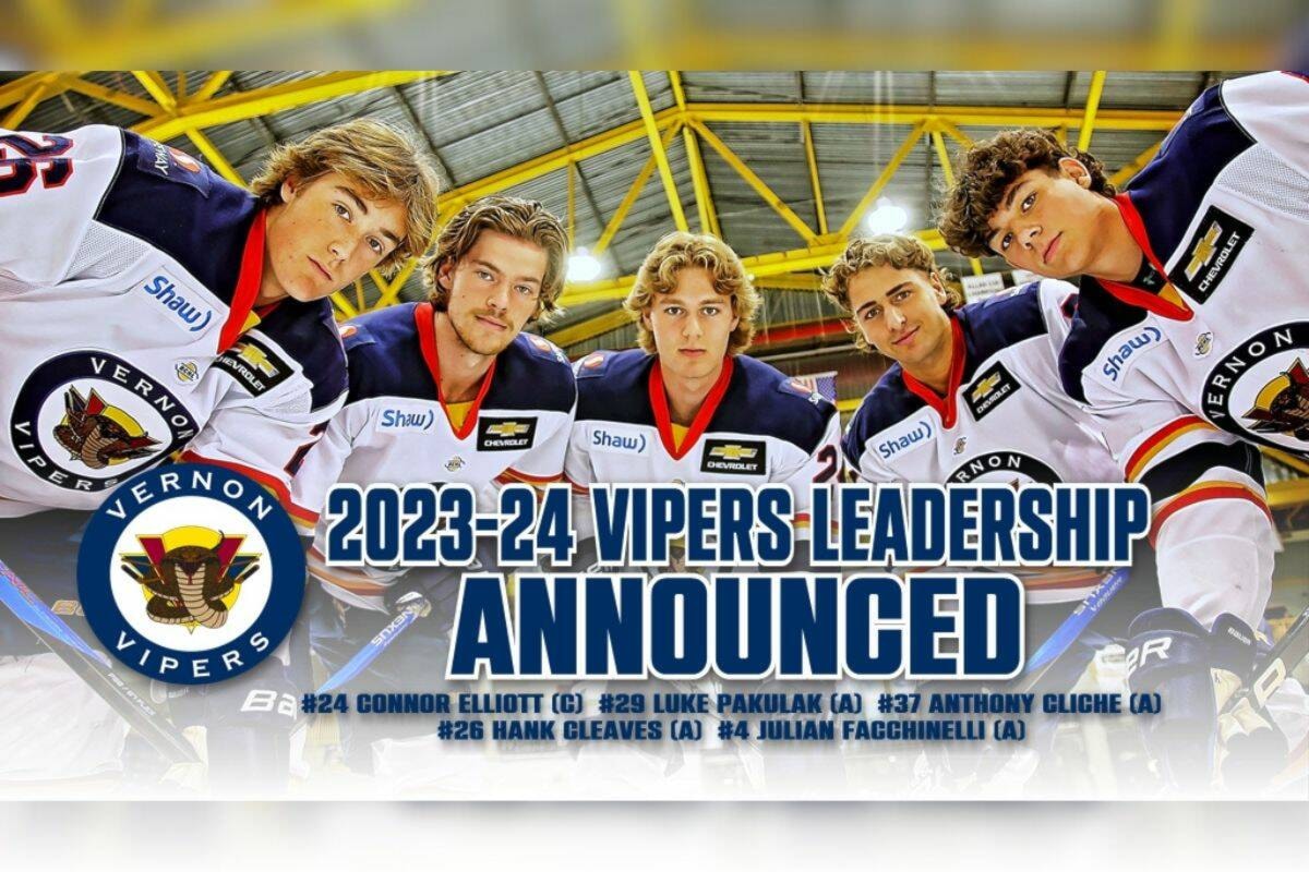 Vernon Vipers announce new captain, assistants for upcoming season