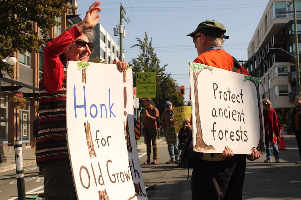 web1_230928-vne-old-growth-protest-_4