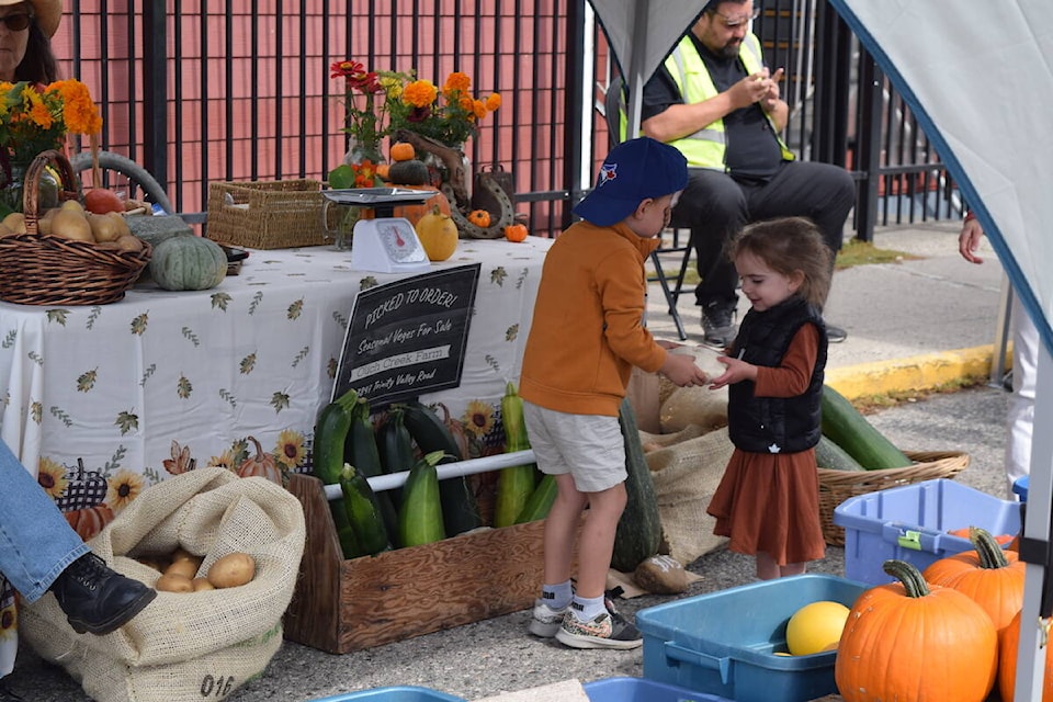 web1_230928-wek-vegfest-_3