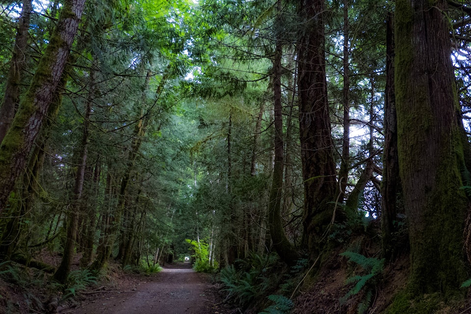 web1_mcruer-logtraintrail-01aug17