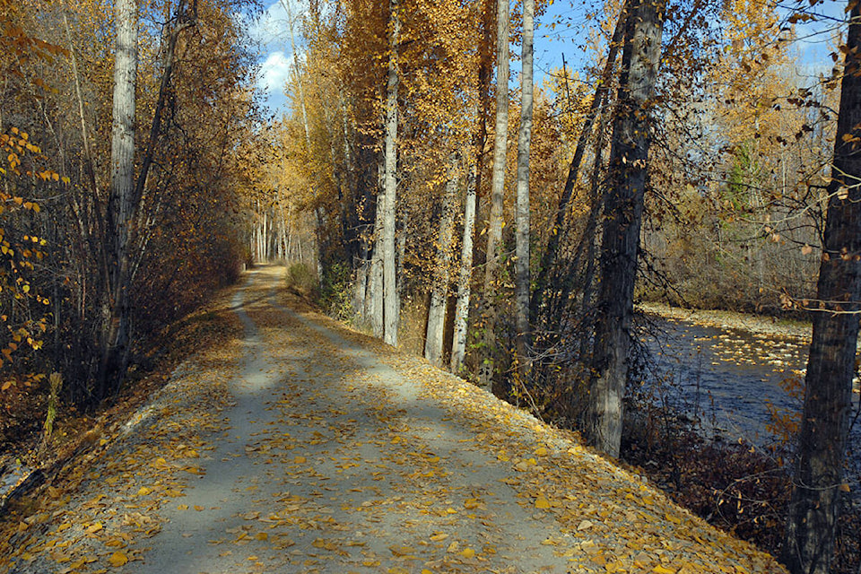 web1_180905-mission-creek-greenway