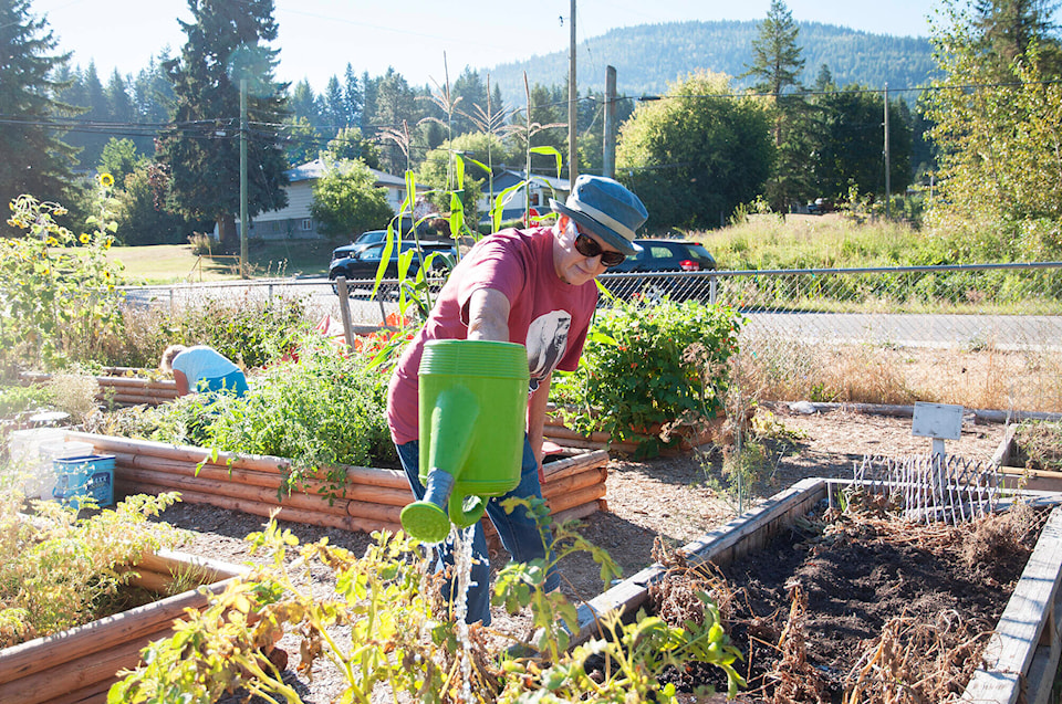 web1_20170902-saa-community-garden-je-0002