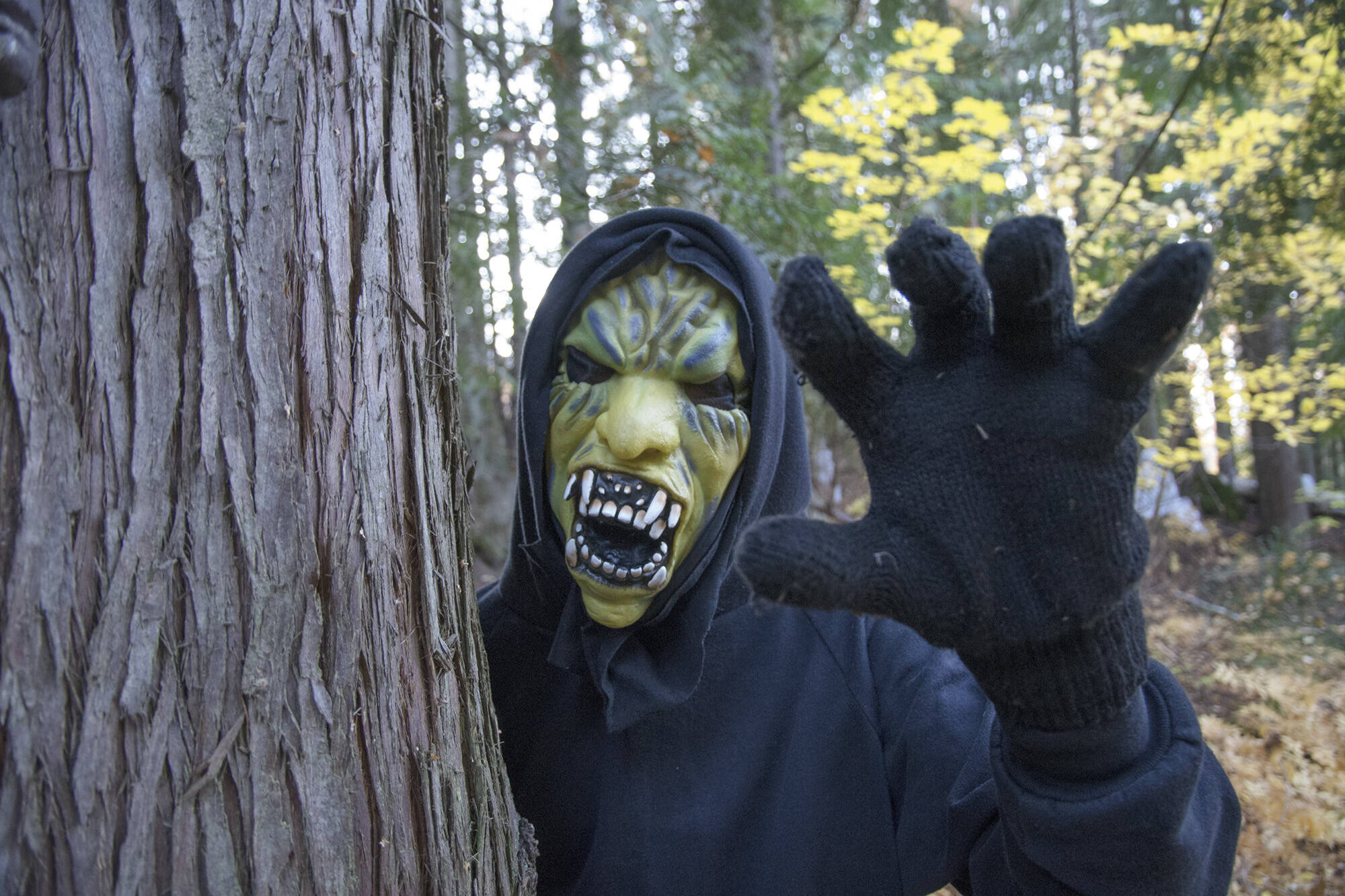 Spooktacular Halloween haunt creeping up in Salmon Arm - Vernon