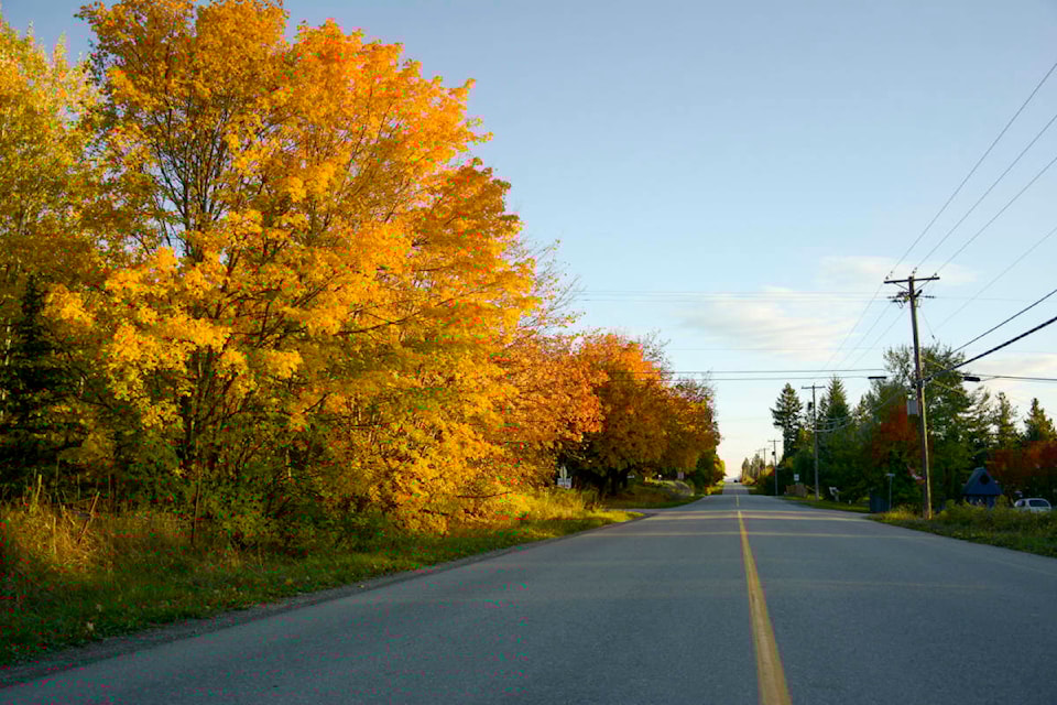 web1_211014-cva-autumn-colours-trees_1