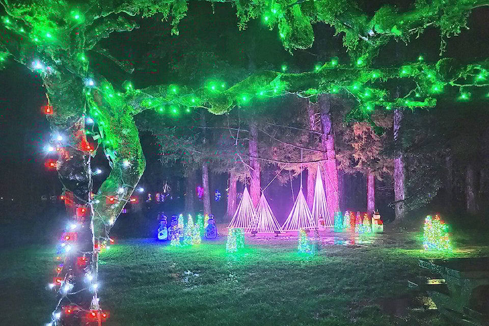 web1_211128-lat-df-christmas-williams-park-lights_1
