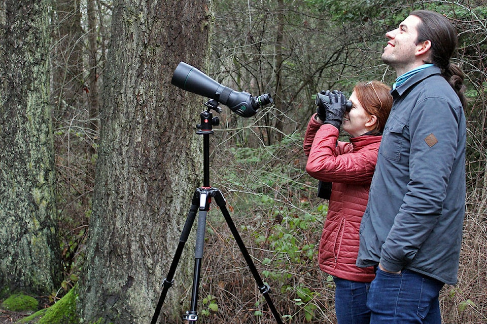 web1_220115-sne-bird-watching-birds_1