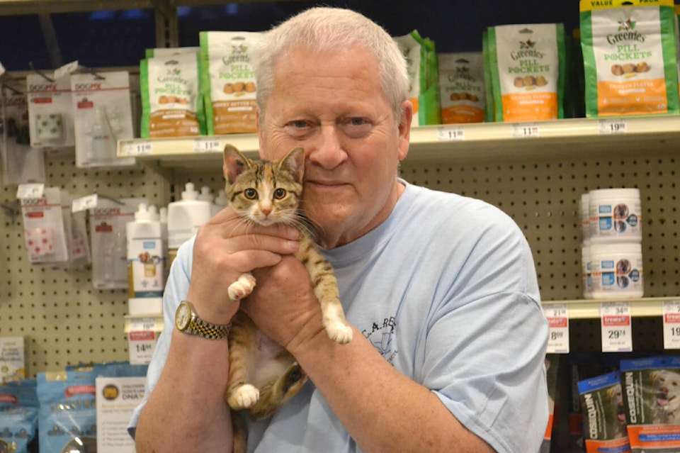 web1_220719-lat-ta-catcares-_5