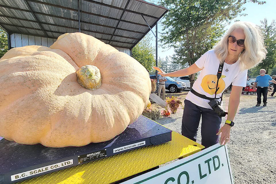 web1_221009-lat-df-giant-pumpkin-andreadixonmillbay_1