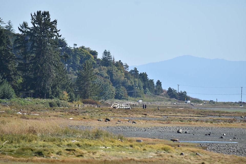 web1_230920-cvr-comox-marina-photo-asset-upload-fall_5