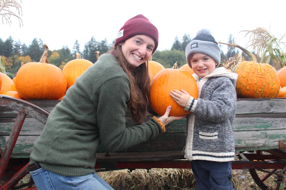 web1_231009-vne-pumpkin-season-galey_1