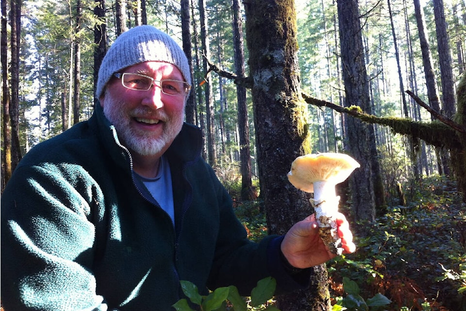 web1_231011-cvr-c-mushroomtalk-1_1