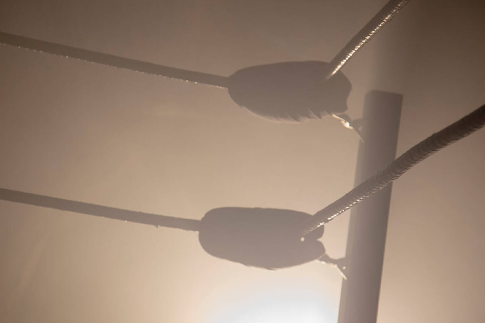 web1_231012-snm-wrestler-feature-photos_1