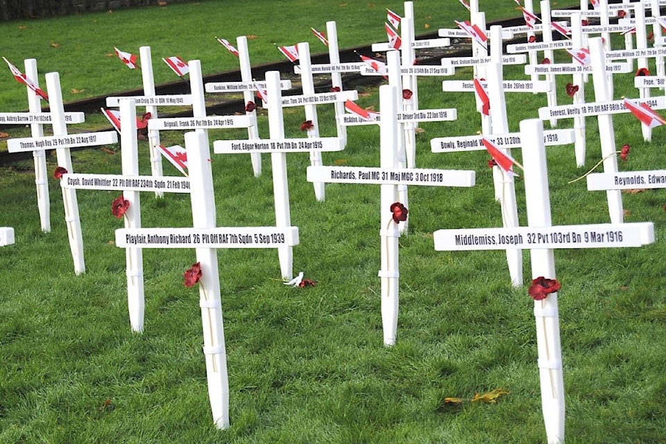 web1_231015-pqn-field-of-crosses-crosses_1
