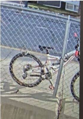 web1_231018-cdt-stolen-bicycle-cranbrook_1