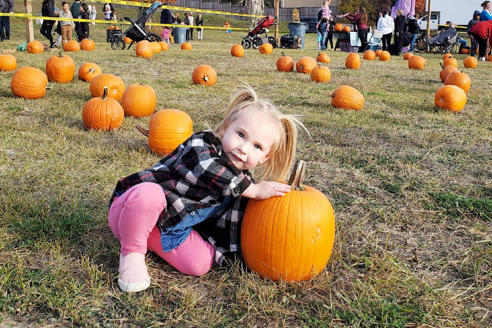 web1_231019-wlt-pumpkin-patch-wlfn_5