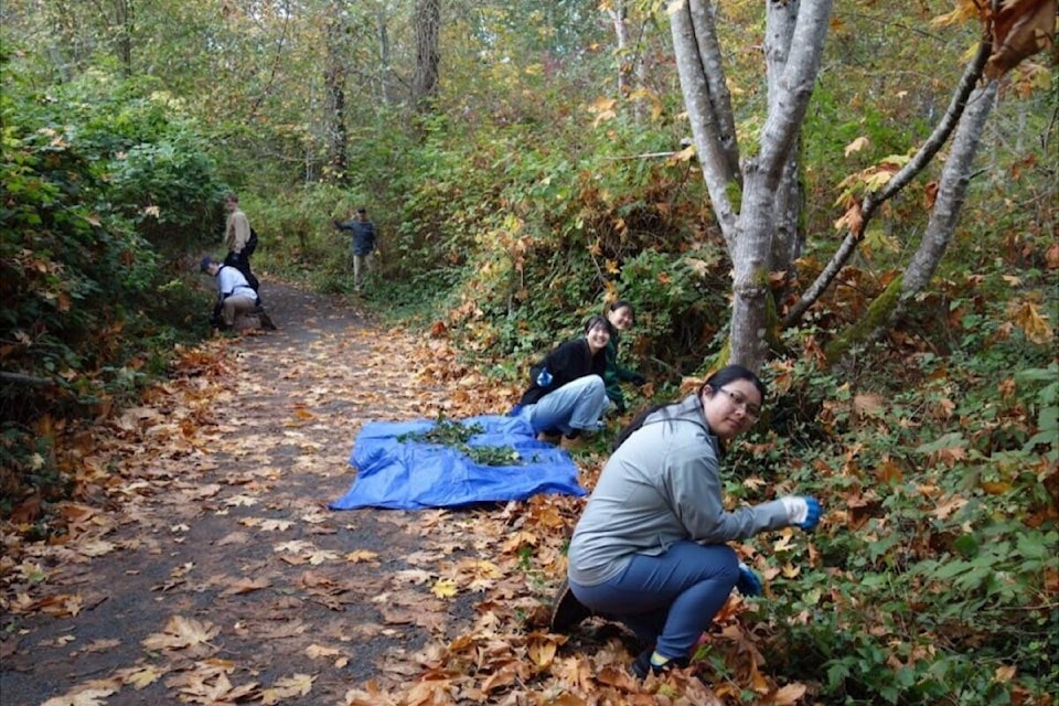 Volunteers tackle the trails near the headwaters of Bowker Creek on the University of Victoria campus in Saanich. (Courtesy Greater Victoria Green Team) 