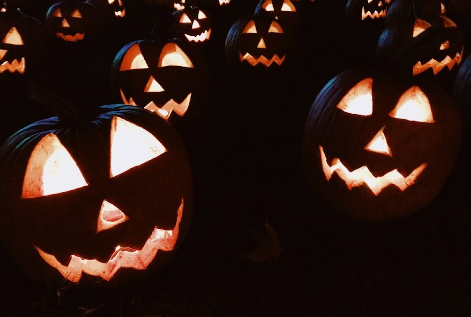 web1_231026-kws-pumpkins-bears_1