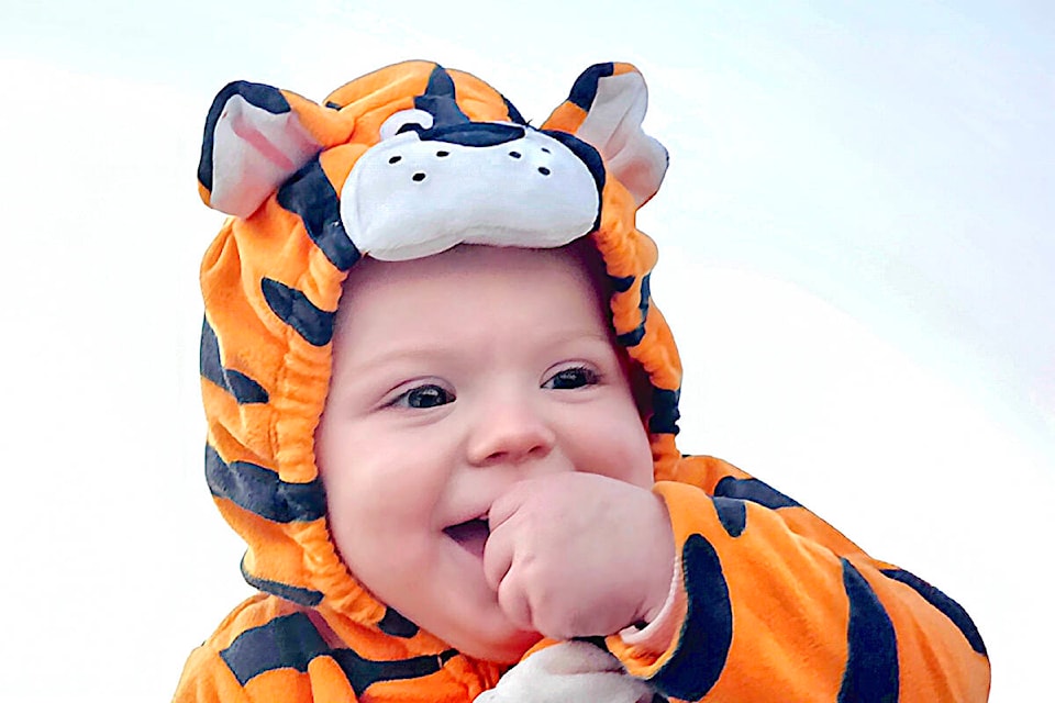Jordan, 1, was among hundreds of delighted children who attended the third annual Pumpkin Walk at Derek Doubleday Arboretum on Saturday, Oct. 28. It was the third year of the annual Demonstration Garden season-ender and fundraiser. (Dan Ferguson/91ԭ Advance Times) 