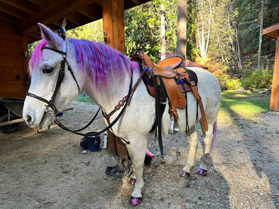 web1_231102-wlt-lexi-unicorn_1