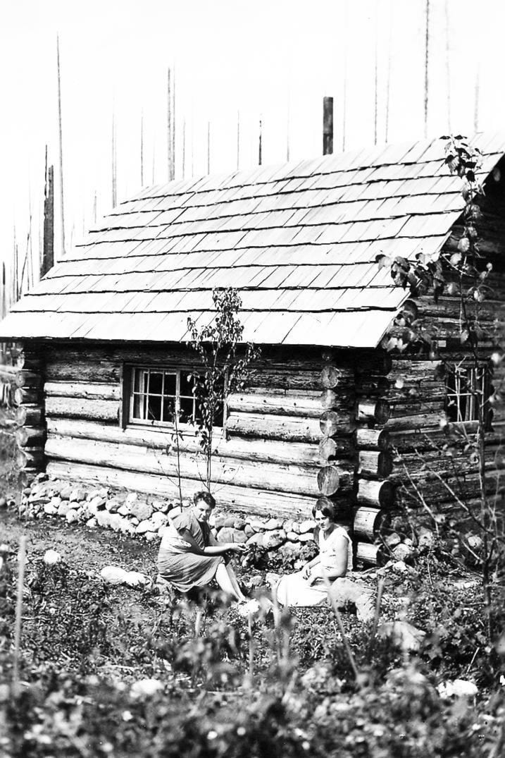 web1_309-bee-farm-log-hse304