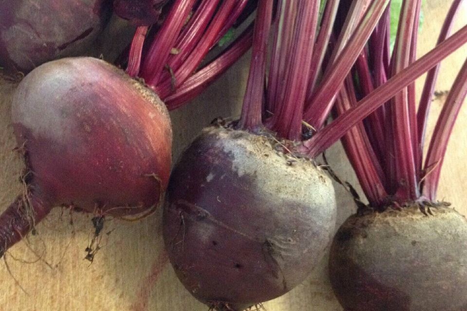 web1_beets_tsr1