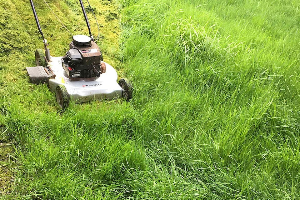 web1_grass-hero