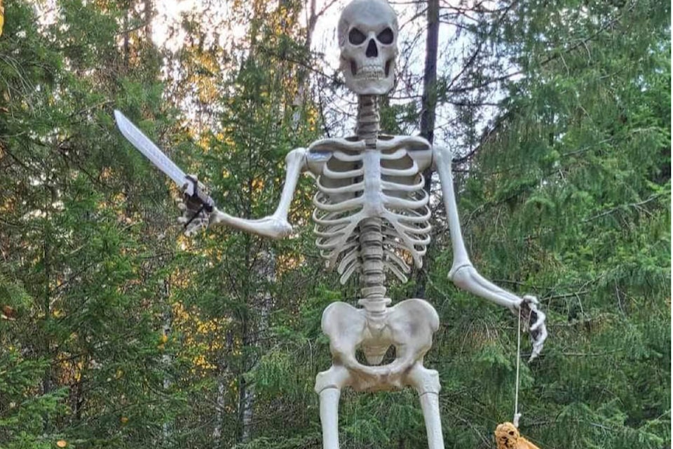 web1_rsz-mr-bones-good-1-_img_1698132616262