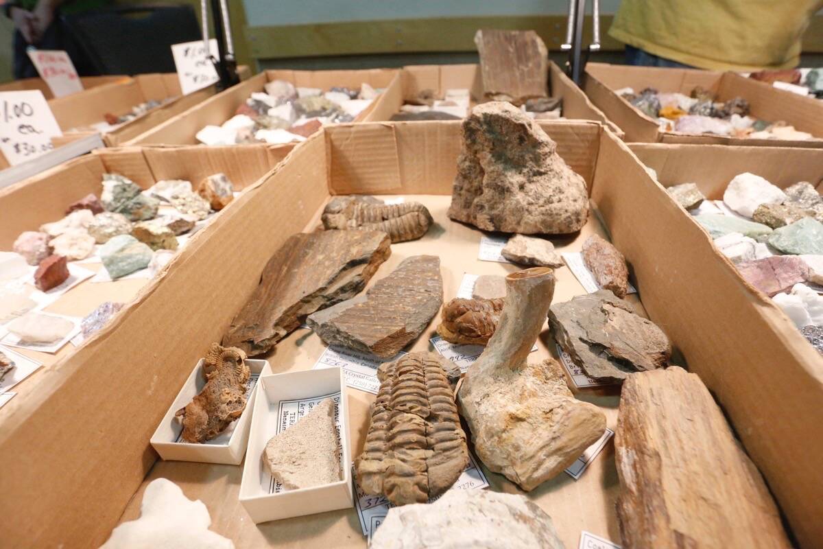 Rock and gem club’s 5th annual