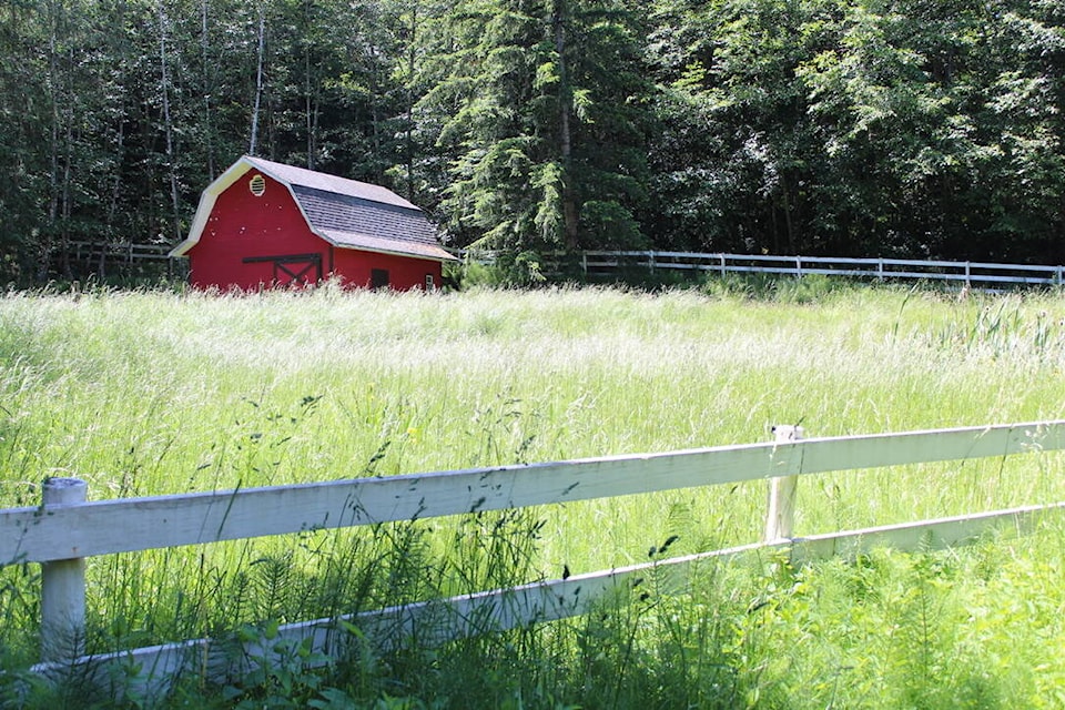web1_200806-ifd-vi-file-photos-east-sooke-barn_1