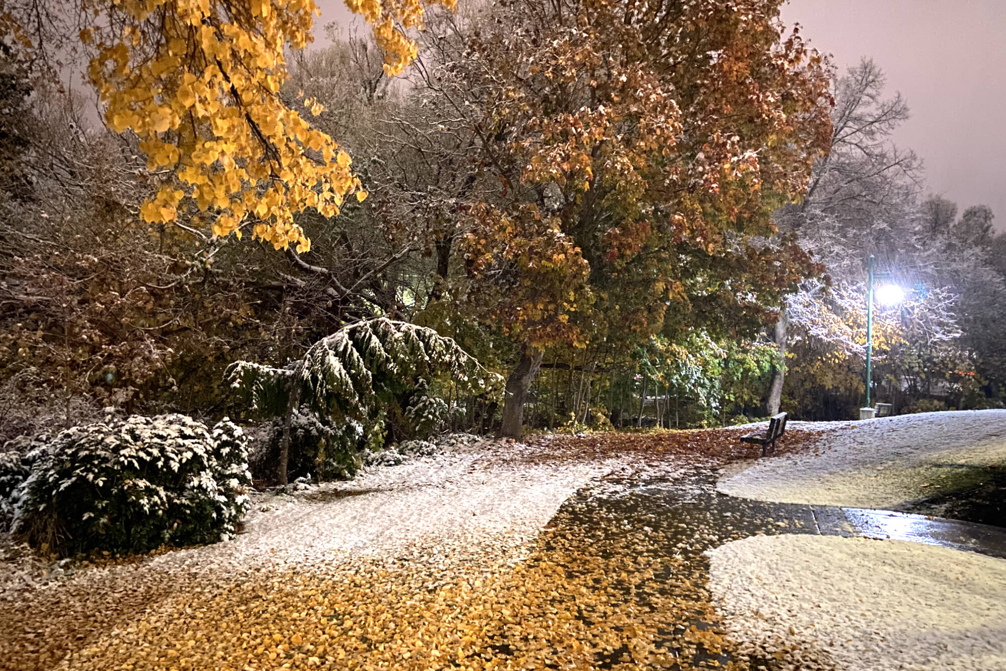 Snow in the forecast for Vernon Vernon Morning Star
