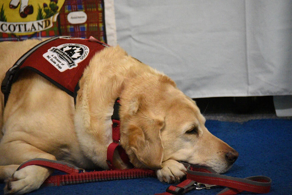 web1_230308-avn-wounded-warriors-here-woundedwarriors_5