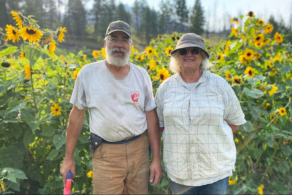 George Beltrame and Debbie Lloyd of Whiskey Creek Acres stand in their sunflower garden outside of Williams Lake. The garden took off after goldfinches started spreading sunflower seeds all over. (Kim Kimberlin/Efteen, Aug. 2023) 