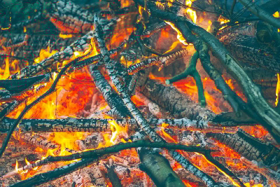 web1_231025-gfg-burn-pile-_1