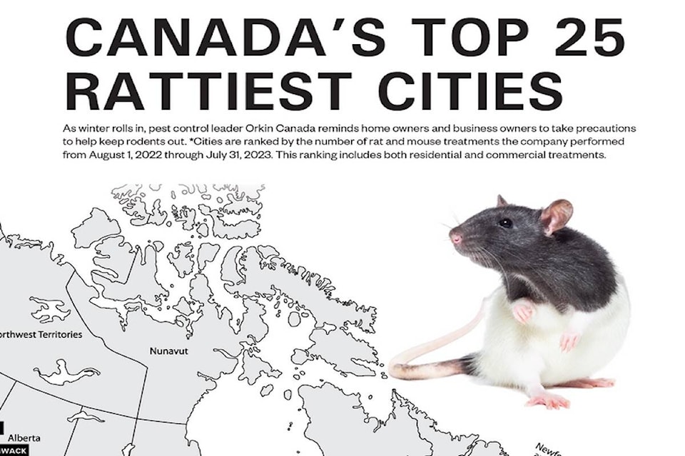 web1_231031-cpl-chilliwack-least-ratty_2