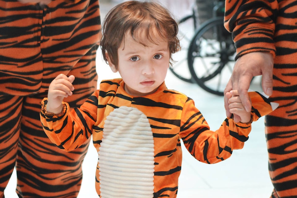 Ezra was among hundreds of costumed kids trick-or-treating at Willowbrook mall on Tuesday, Oct. 31. (Kyler Emerson/91ԭ Advance Times) 