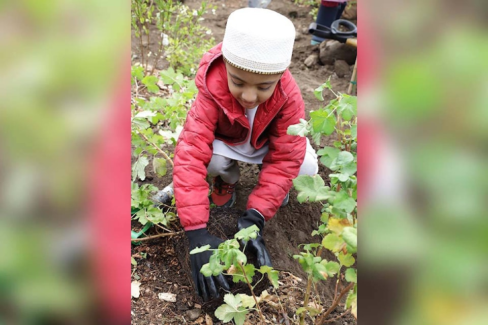 Youth from Surrey spend an afternoon together planting trees in South Surrey on Oct. 14 (Contributed photo) 