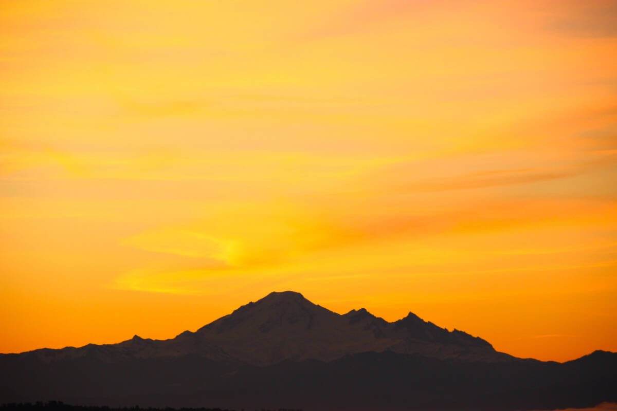 Payless sunrise 2025