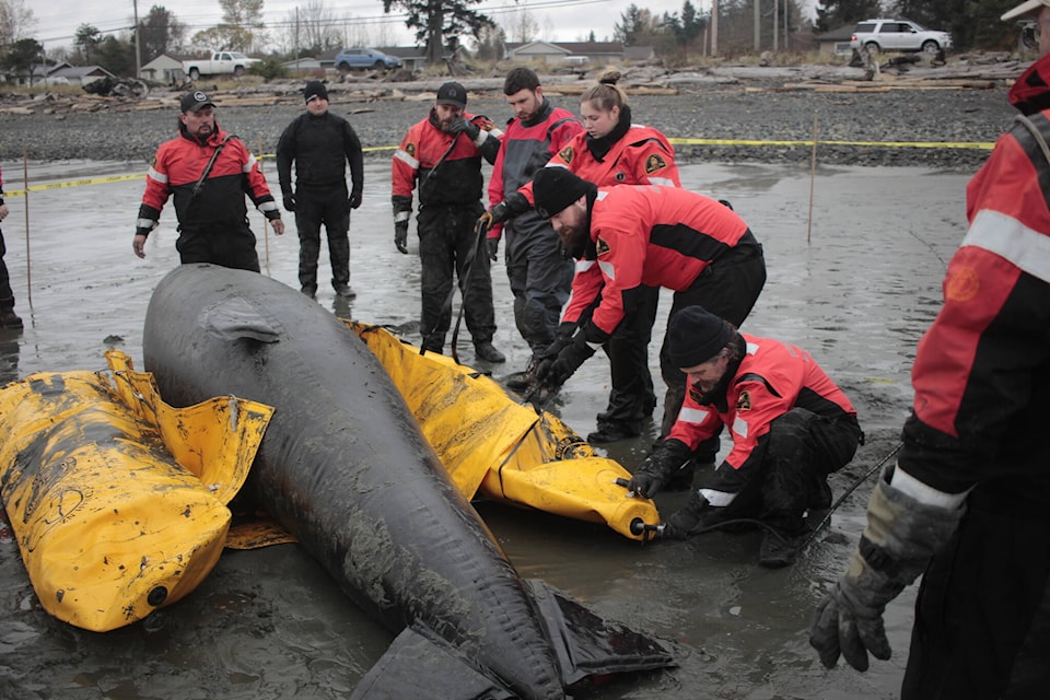 The pontoons were attached and inflated. Photo by Marc Kitteringham/Campbell River Mirror The pontoons were attached and inflated. Photo by Marc Kitteringham/Campbell River Mirror 