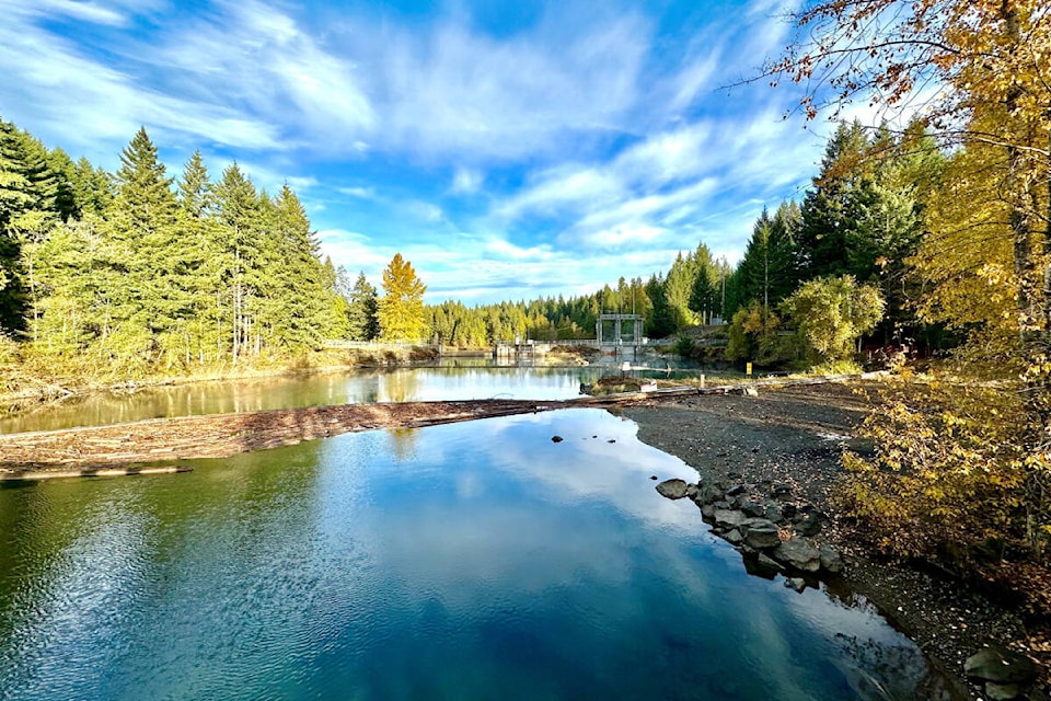 web1_231108-cvr-n-bchydro-1_1