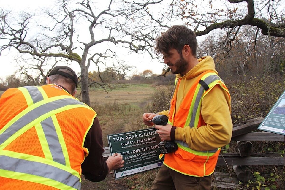 Restoration biologist Wylie Thomas, left, a longtime consultant with Oak Bay and Jon Osborne who has been part of the Uplands Park project for years, officially close the central meadow. The section closes each winter as it has since 2018, and is showing signs of recovery Thomas says. (Christine van Reeuwyk/News Staff) 