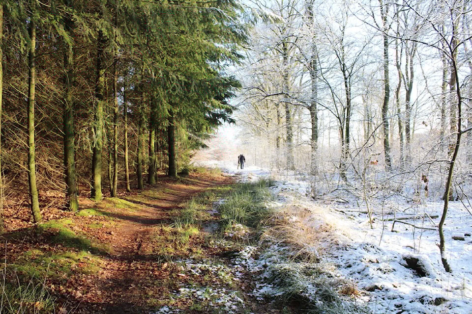 web1_231116-acc-wellness-column-seasons_2