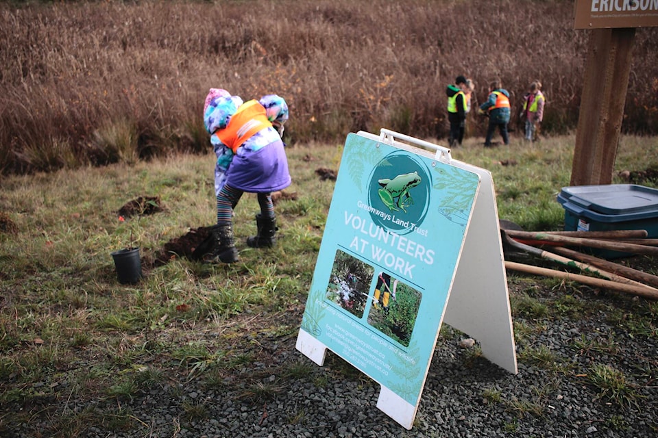 web1_231116-crm-greenways-jr-streamkeepers-planting-schools_2