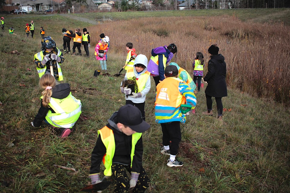 web1_231116-crm-greenways-jr-streamkeepers-planting-schools_3